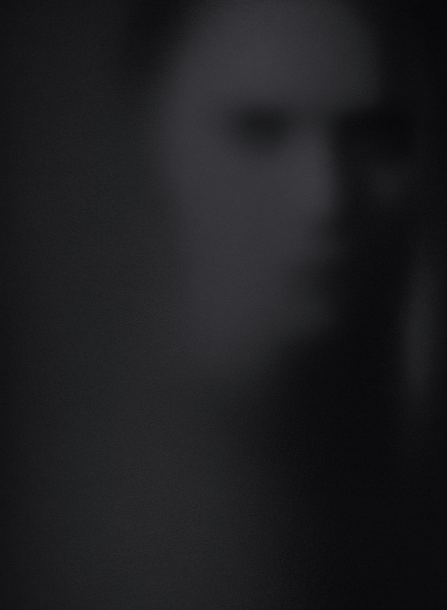 Graphite drawing detail